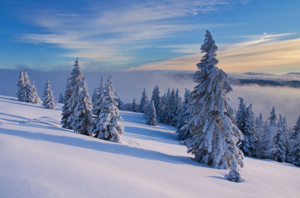 Winterlandschaft am Feldberg