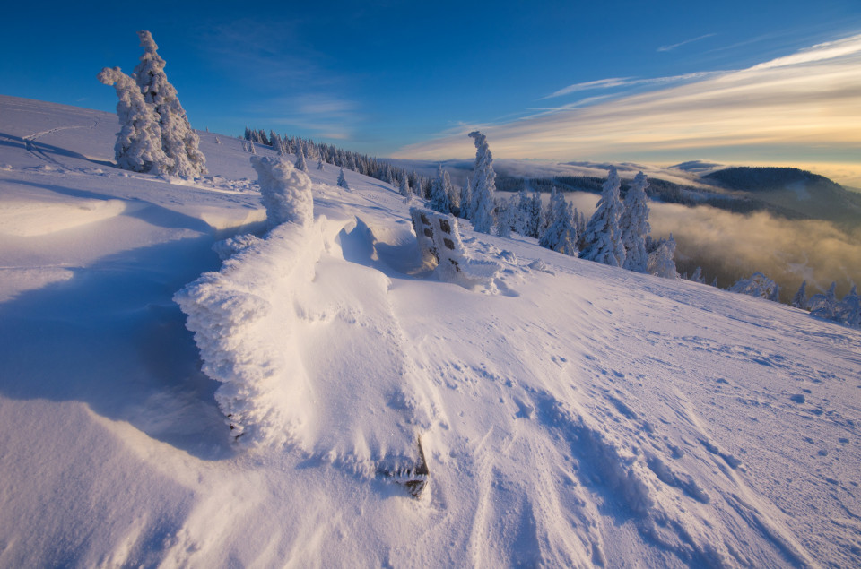 Winterlandschaft am Feldberg