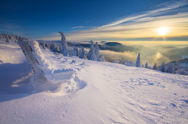 Winterlandschaft am Feldberg