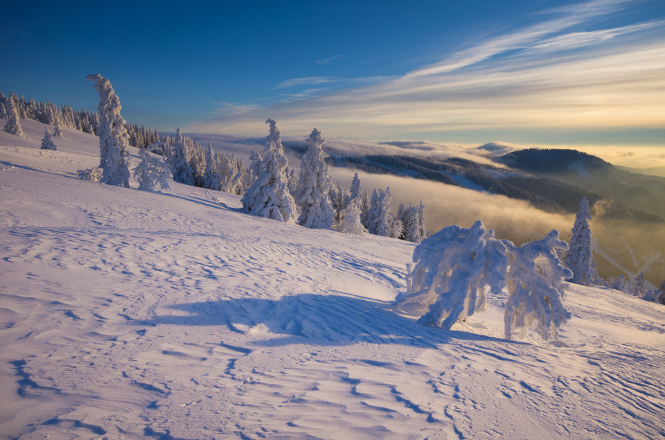 Winterlandschaft am Feldberg