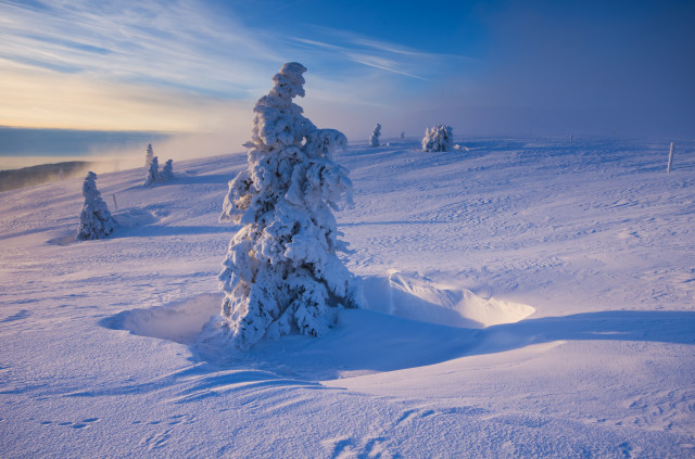 Winterlandschaft am Feldberg