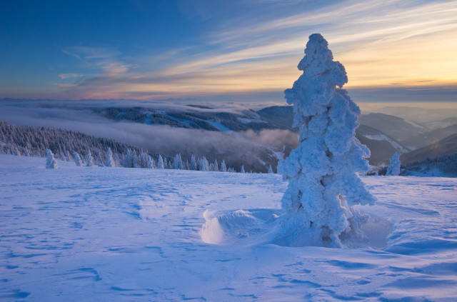 Winterlandschaft am Feldberg