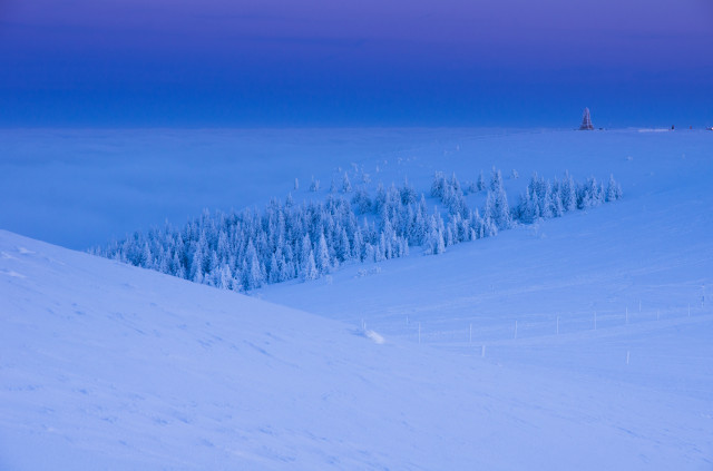 Winterlandschaft am Feldberg in der Abenddämmerung