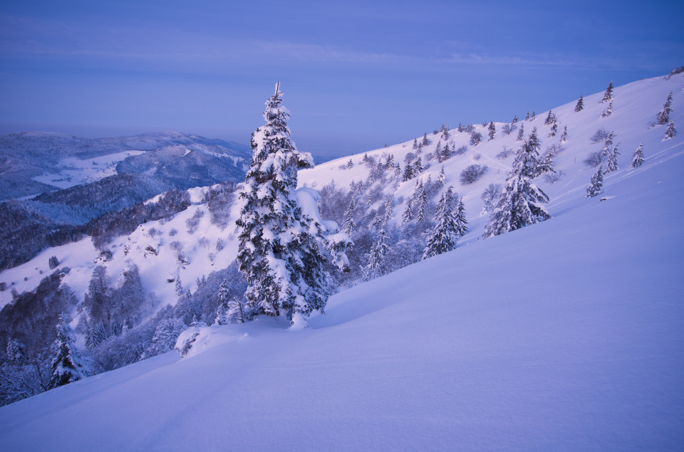 Morgendämmerung am Belchen