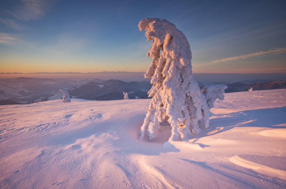 Wintermorgen auf dem Belchen