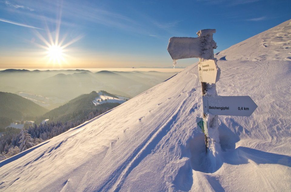 Eingeschneiter Wegweiser am Belchen