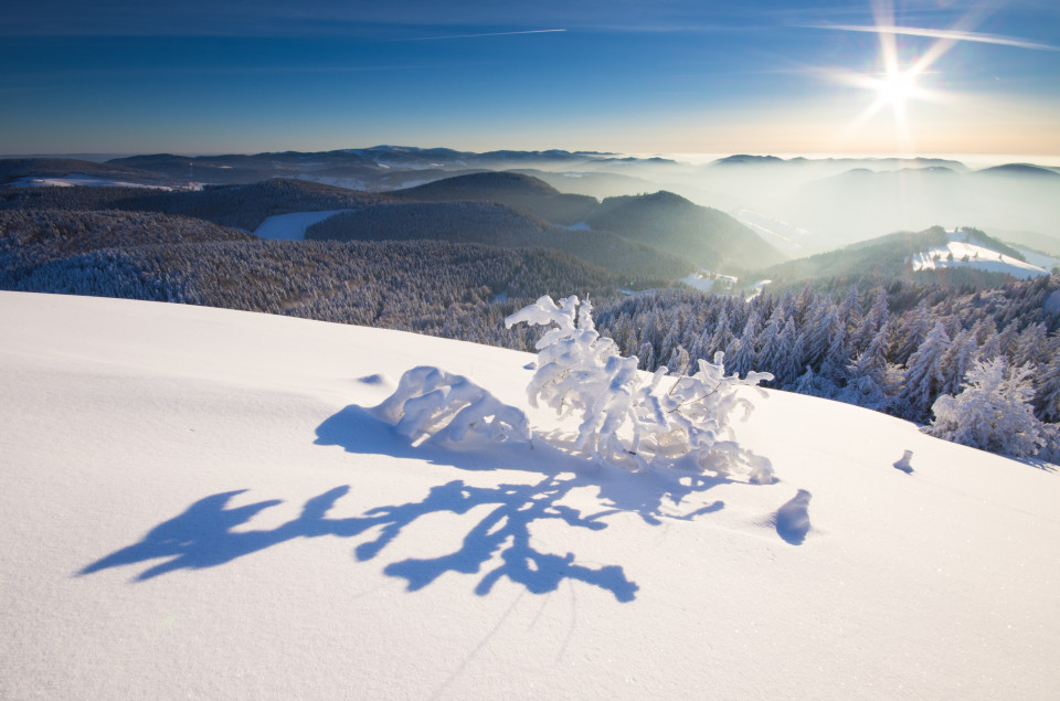 Wintermorgen auf dem Belchen