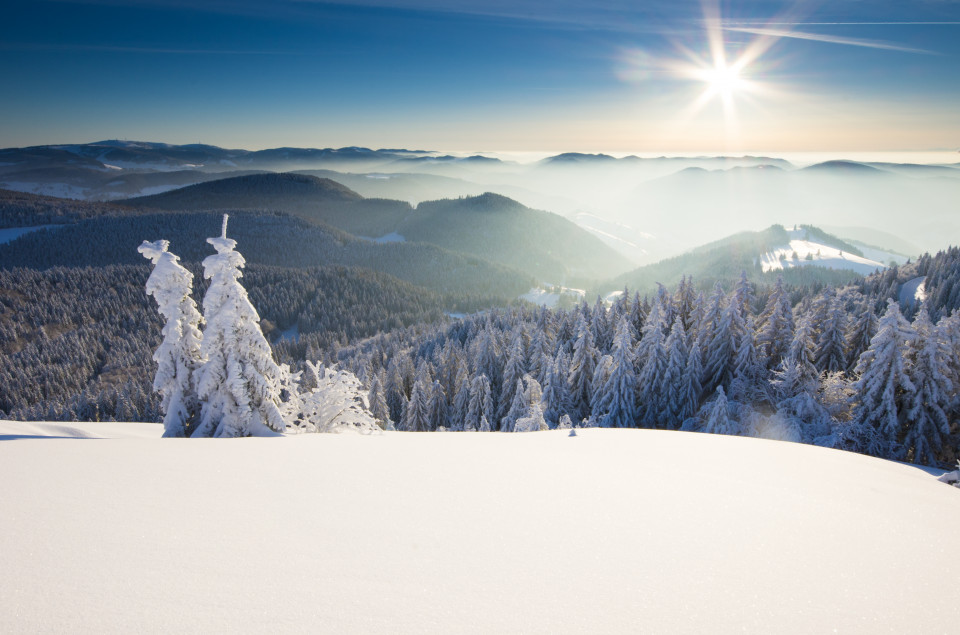 Wintermorgen auf dem Belchen