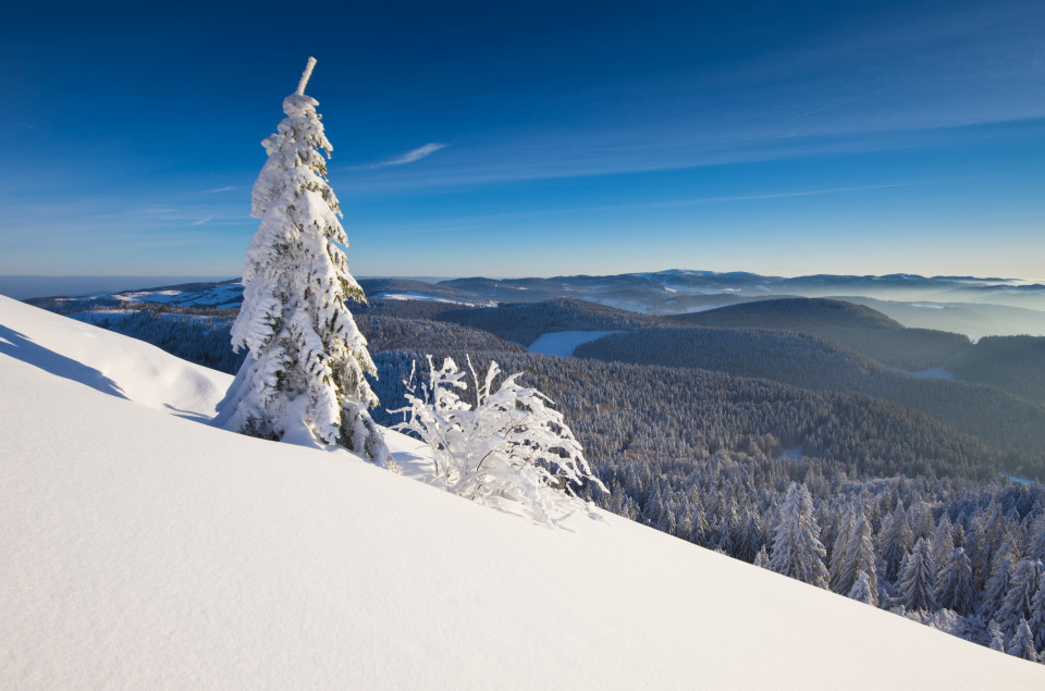 Winterlandschaft am Belchen