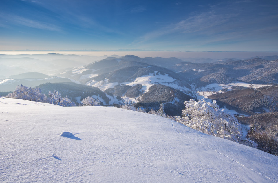 Winterlandschaft am Belchen