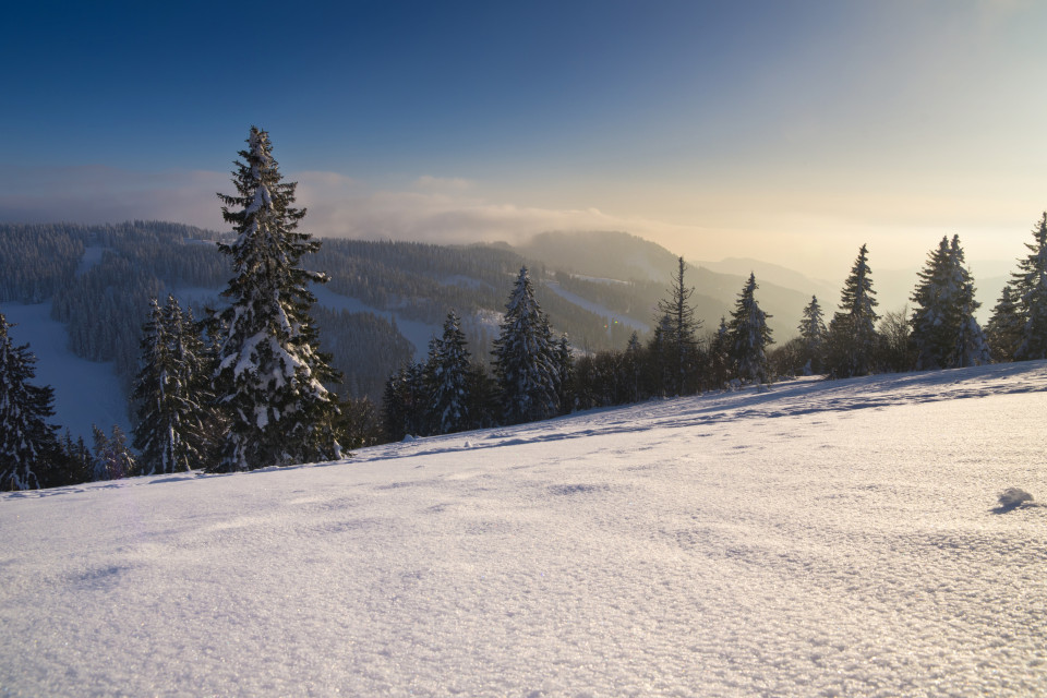 Winterlandschaft am Feldberg