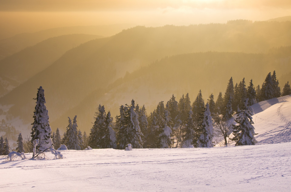 Über dem Wiesental am Feldberg