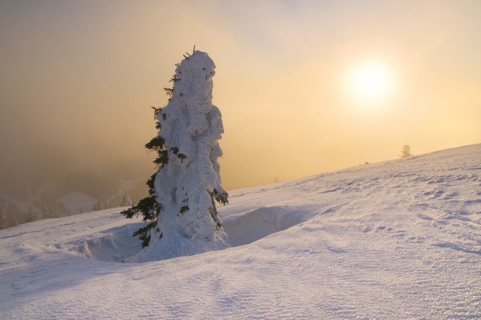 Sonnenuntergang im Nebel am Feldberg