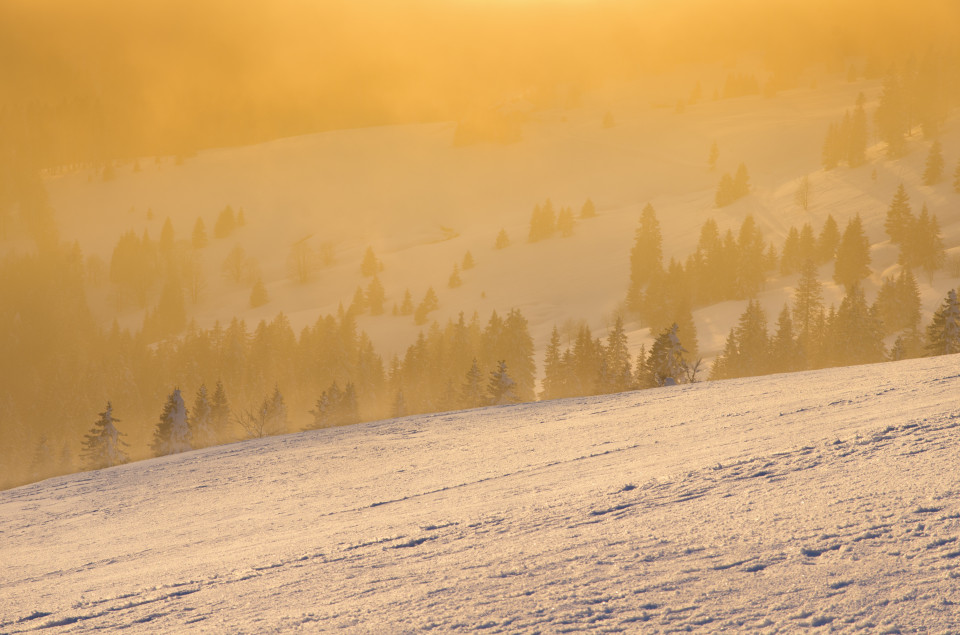 Winterlandschaft am Feldberg