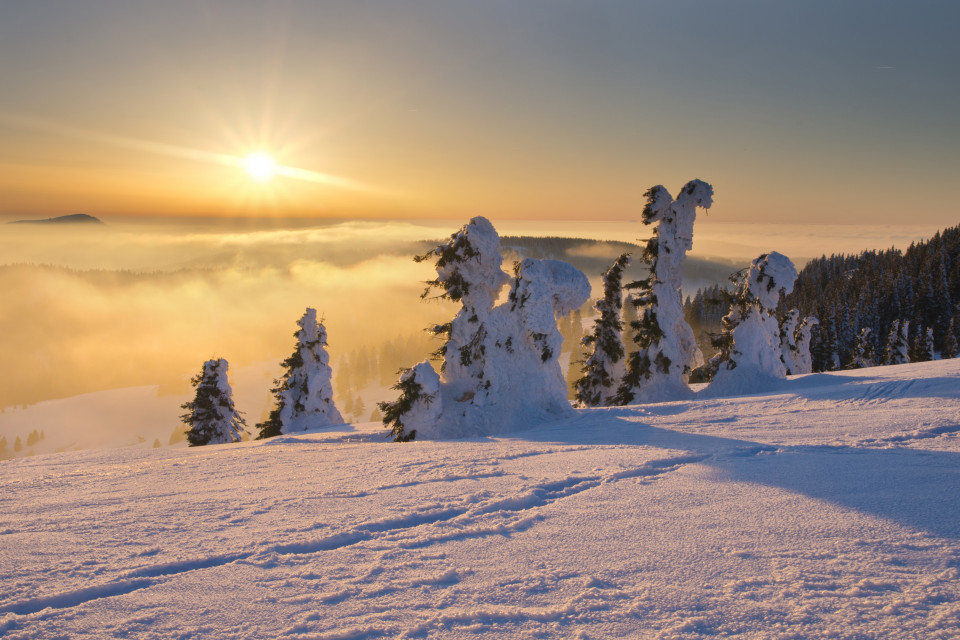 Winterlandschaft bei Sonnenuntergang am Feldberg