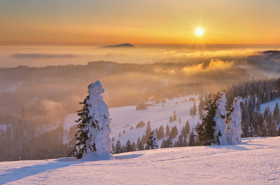 Winterlandschaft bei Sonnenuntergang am Feldberg