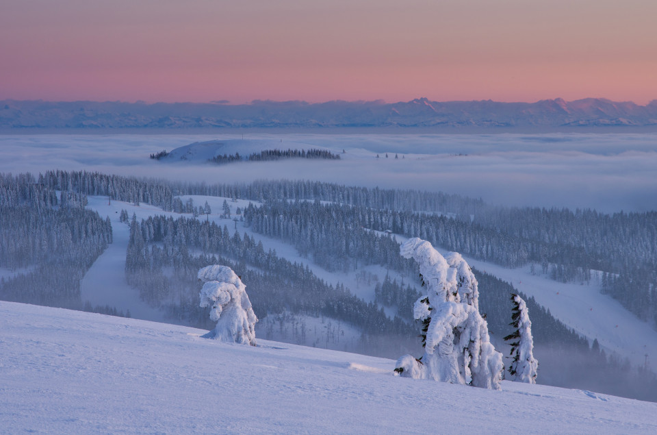 Feldberg, Abenddämmerung mit Blick auf Herzogenhorn und Alpen