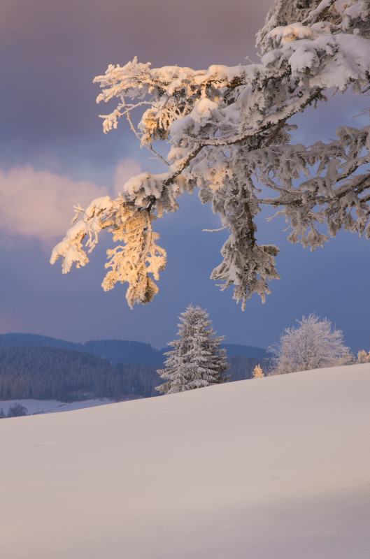 Winterimpression bei Breitnau