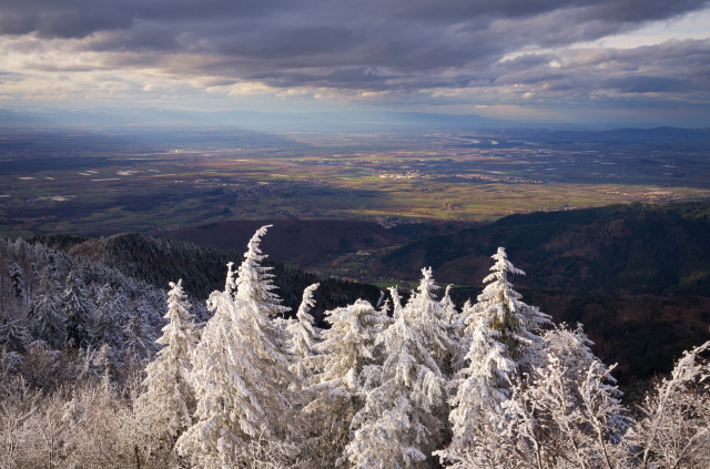 Märzwinter auf dem Hochblauen