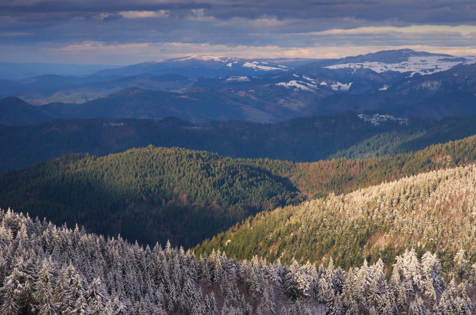 Märzwinter auf dem Hochblauen