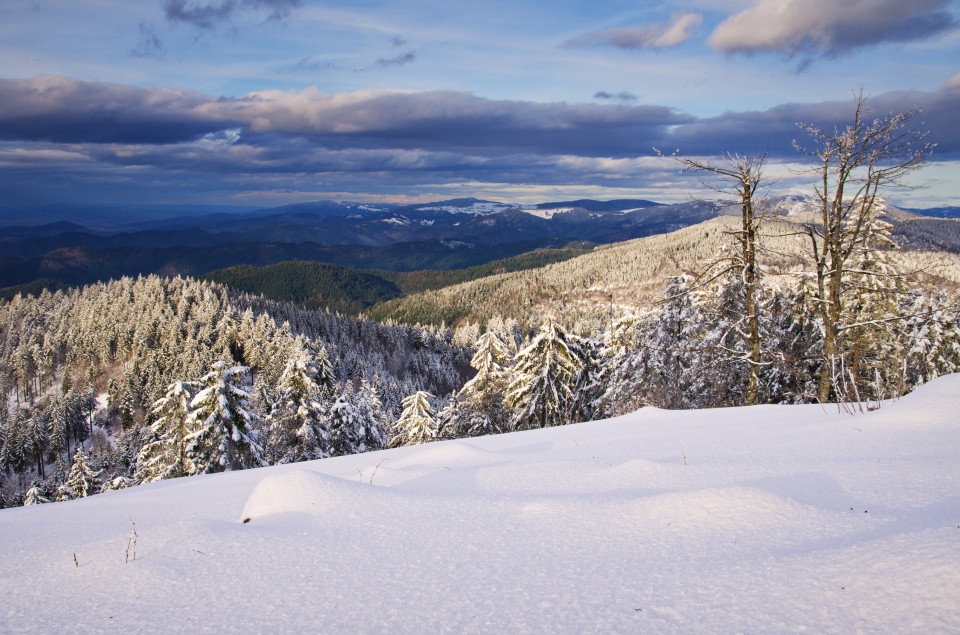 Märzwinter auf dem Hochblauen