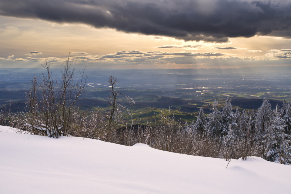 Märzwinter auf dem Hochblauen