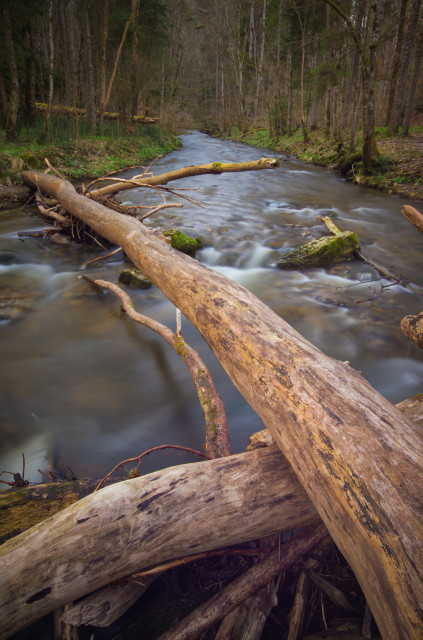 Gauchach bei der Mündung in die Wutach