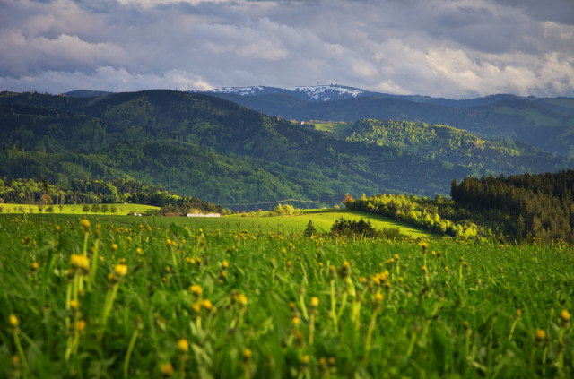 Blick zum Feldberg bei St. Peter