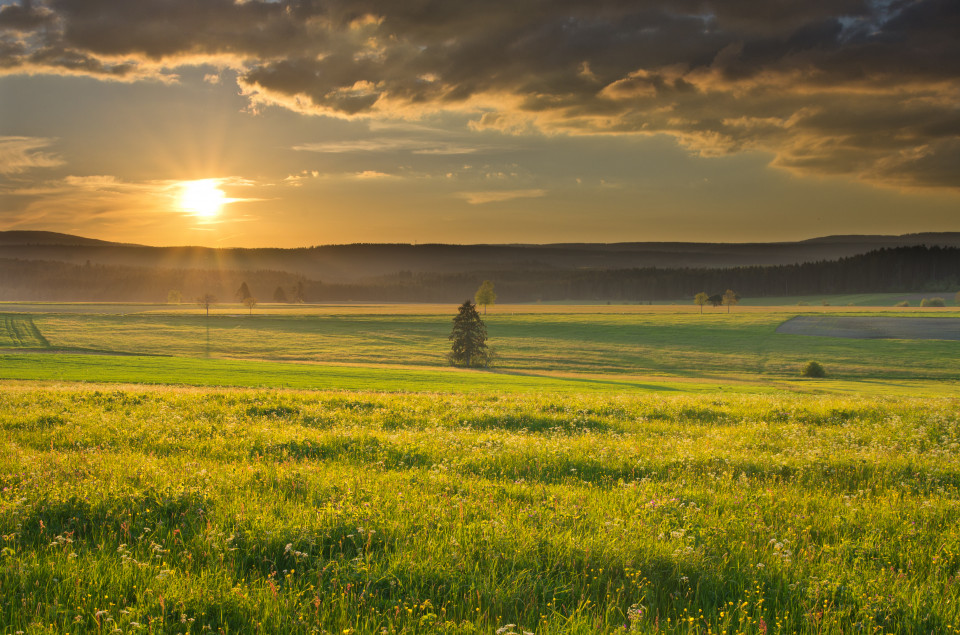 Sonnenuntergang bei Göschweiler