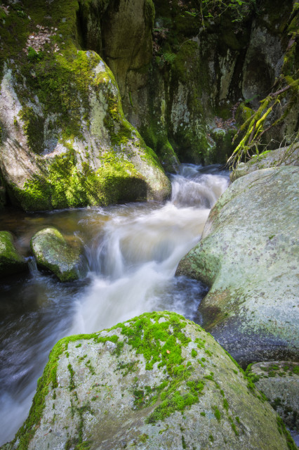 Teufelsküche im Albtal