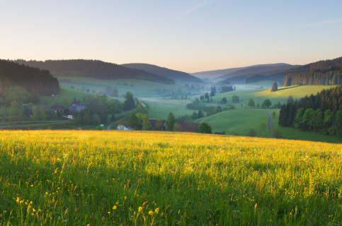 Frühsommermorgen im Jostal