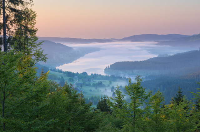 Schluchseeblick am Kapellenkopf