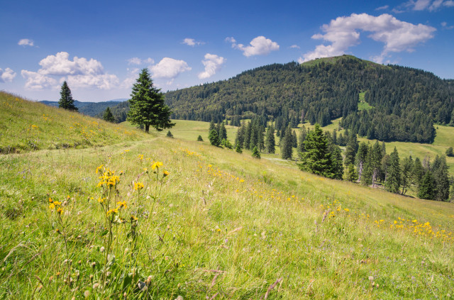 Zwischen Spießhorn und Herzogenhorn