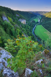 Auf dem Knopfmacherfelsen bei Beuron