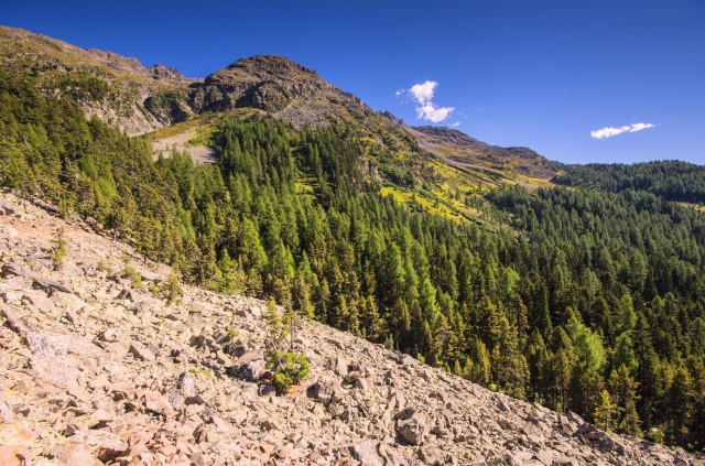 Blick auf den Piz da l'Ova Cotschna