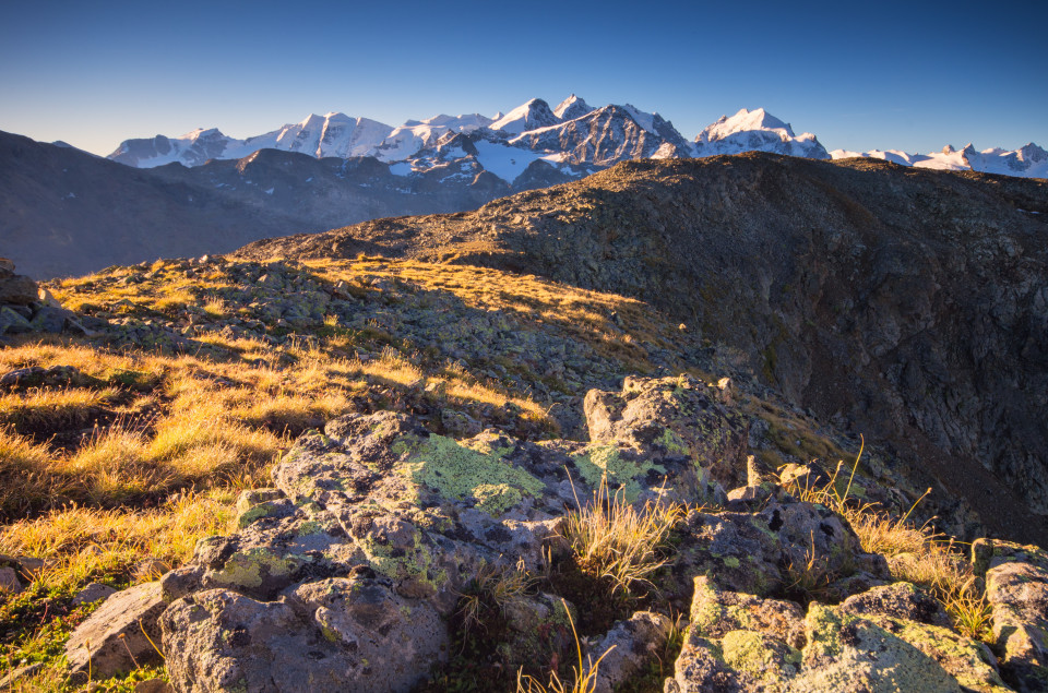 Zwischen Piz Mezdi und Piz Rosatsch