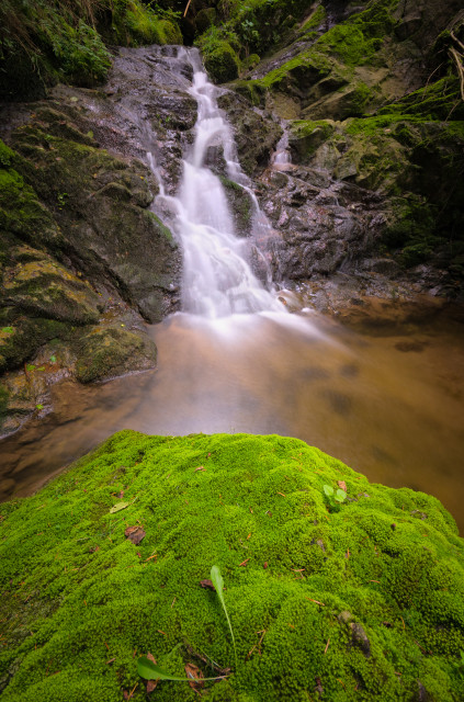 In der Lotenbachklamm