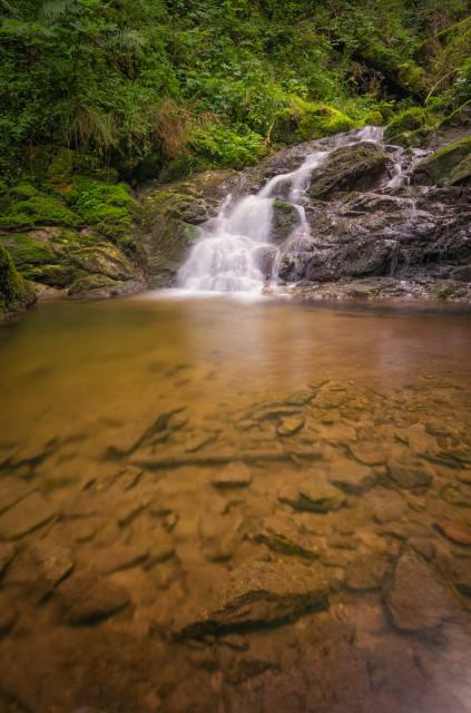 In der Lotenbachklamm