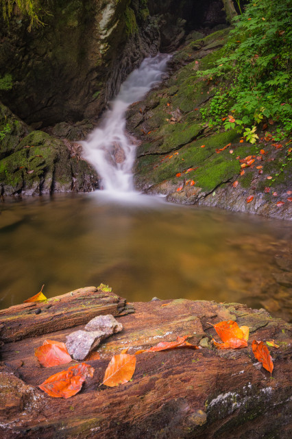 In der Lotenbachklamm