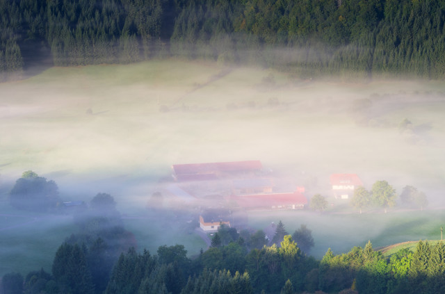 Bernau-Goldbach im Frühnebel