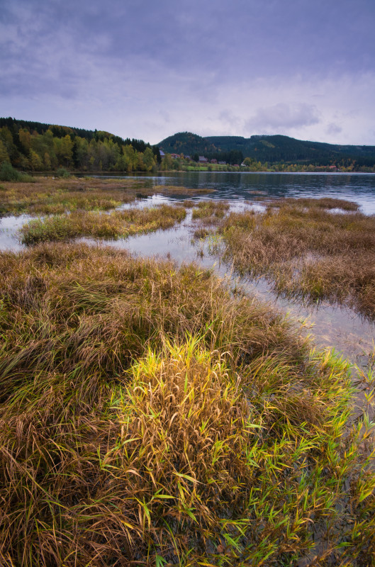 Herbstfarben am Schluchsee