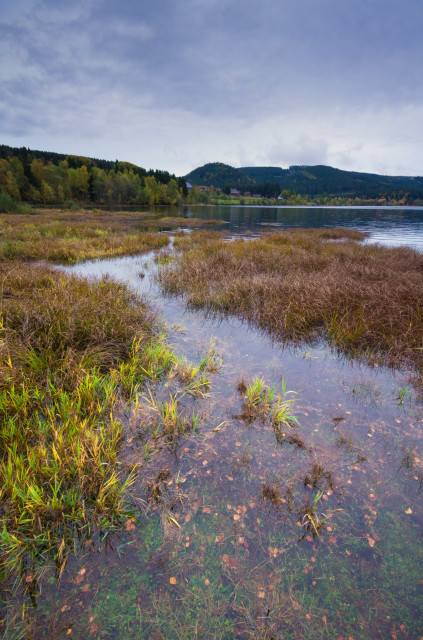 Herbstfarben am Schluchsee