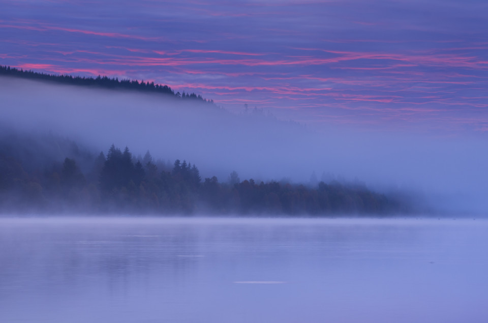 Morgendämmerung mit Nebel am Schluchsee