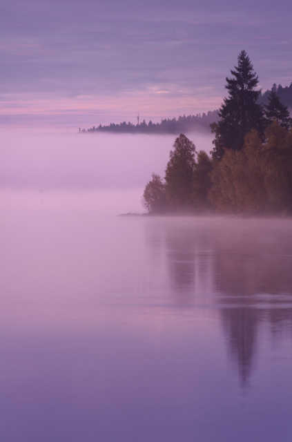 Morgenstimmung mit Nebel am Schluchsee