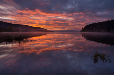 Morgenrot am Schluchsee