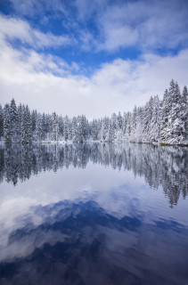 Neuschnee am Mathisleweiher