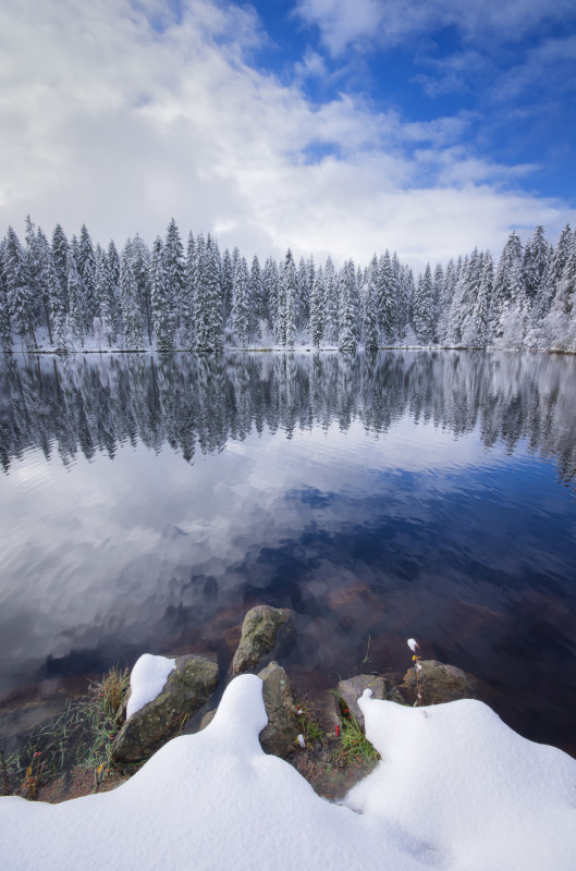 Neuschnee am Mathisleweiher