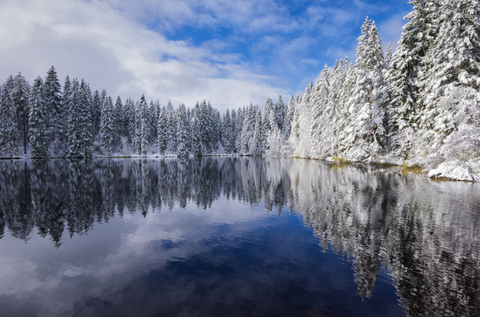 Neuschnee am Mathisleweiher