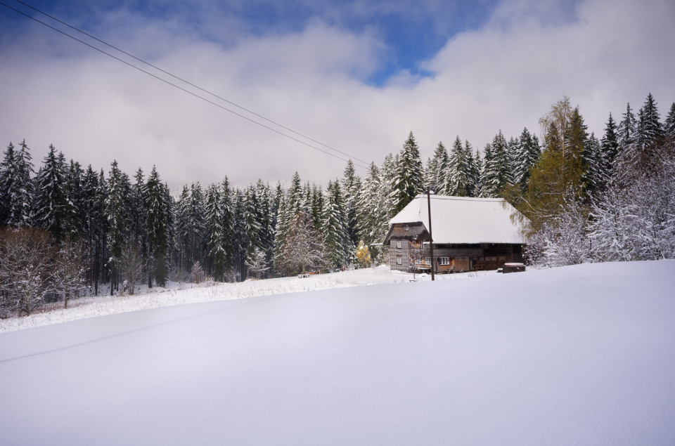 Silberberg bei Hinterzarten