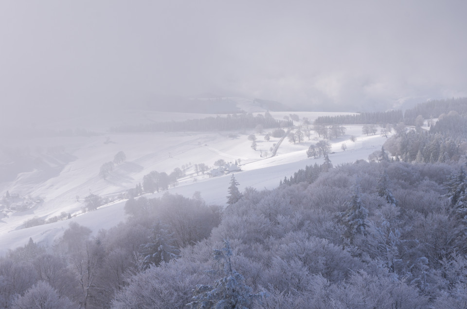 Schauinsland / Hofsgrund mit Neuschnee und tiefen Wolken